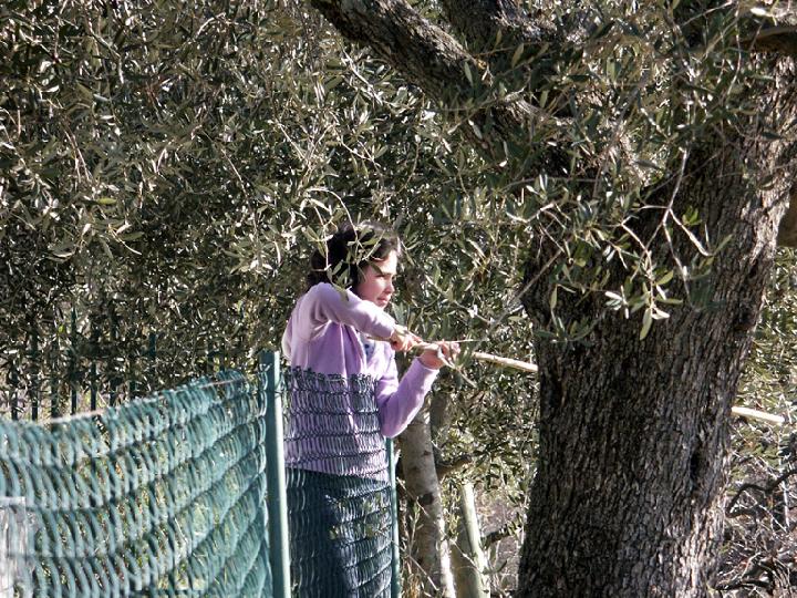 2003-01 020.jpg - DCF 1.0